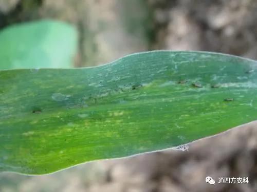 ���הQ����ô�k����ץ�o��Q��(hu��)Ӱ푮a(ch��n)��!!!