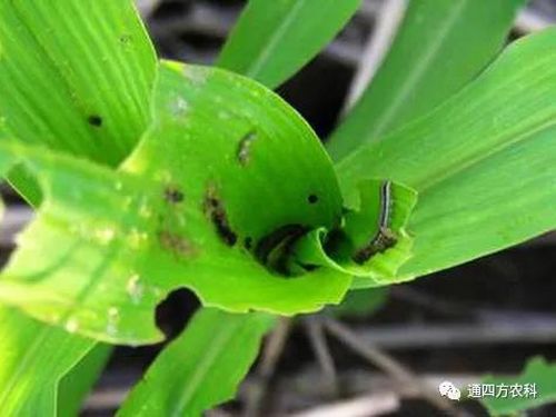 ���הQ����ô�k����ץ�o��Q��(hu��)Ӱ푮a(ch��n)��!!!